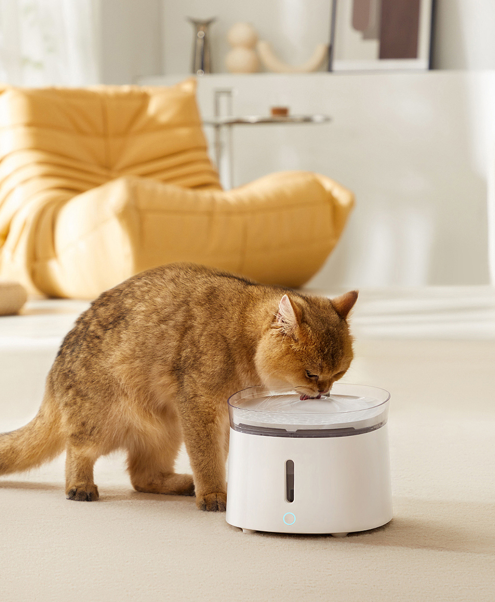 Prodotti per animali domestici